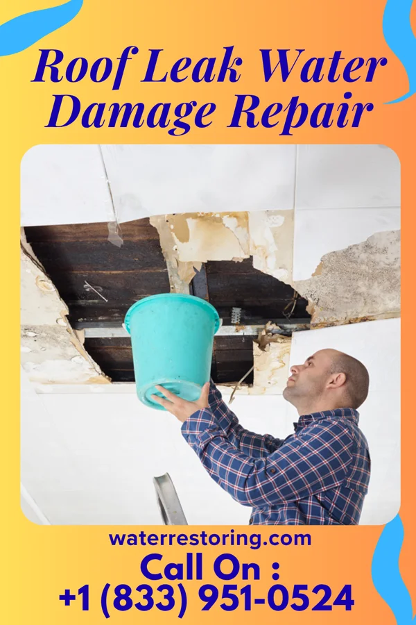 Roof Leak Water Damage Repair in Paac Ciinak, WI