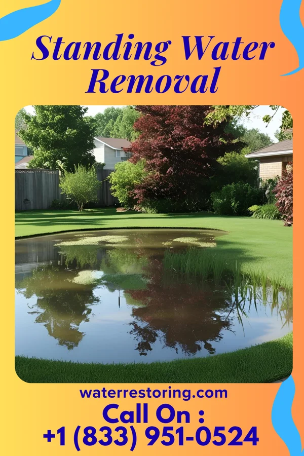 Standing Water Removal in Paac Ciinak, WI